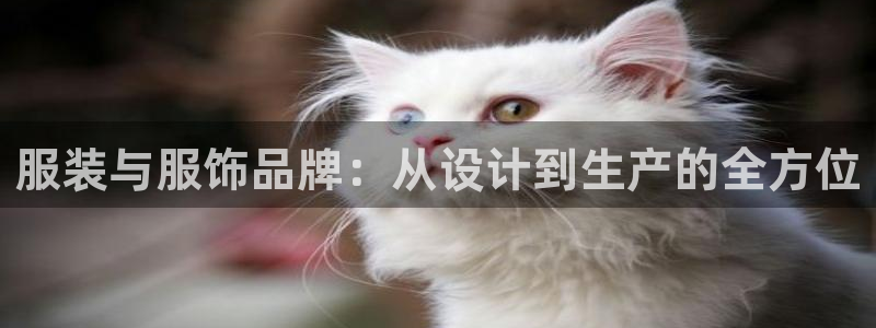 天辰团队贝高娱乐