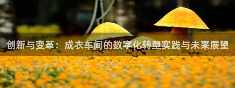 天辰娱乐60447