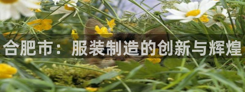 nba天辰娱乐