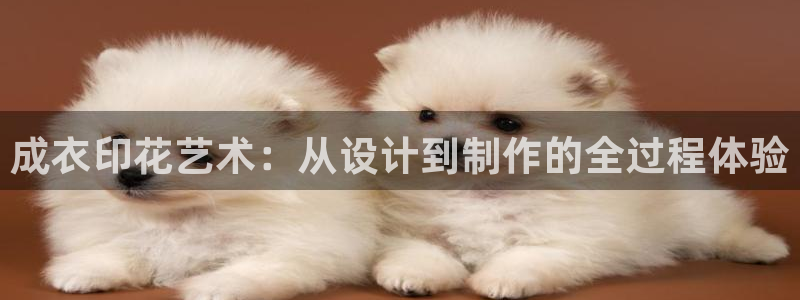 天辰娱乐_ 18113
