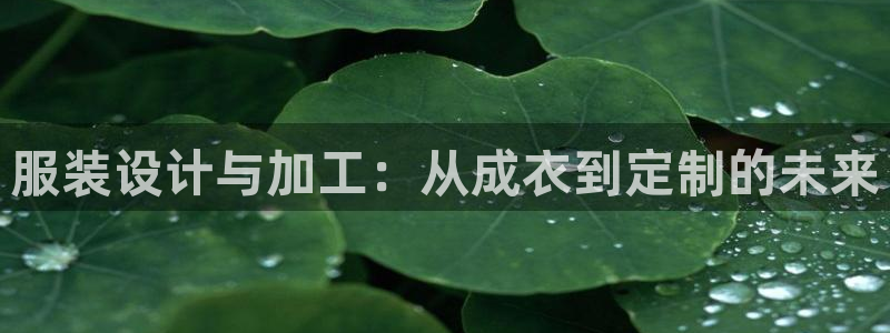 天辰娱乐APP下载