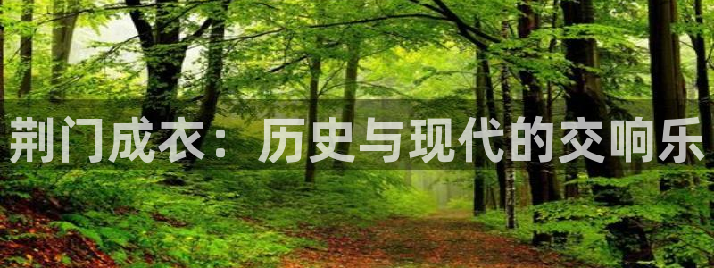 天辰娱乐卡